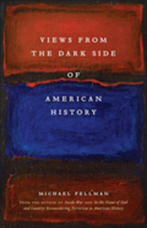 Cover of the book Views from the Dark Side of American History by Michael Fellman, LSU Press