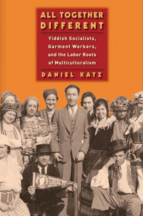 Cover of the book All Together Different by Daniel Katz, NYU Press