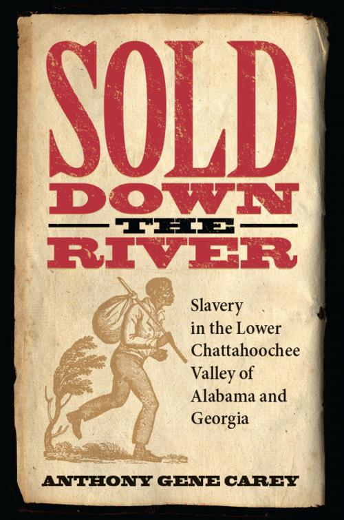 Cover of the book Sold Down the River by Anthony Gene Carey, Historic Chattahoochee Commission, University of Alabama Press