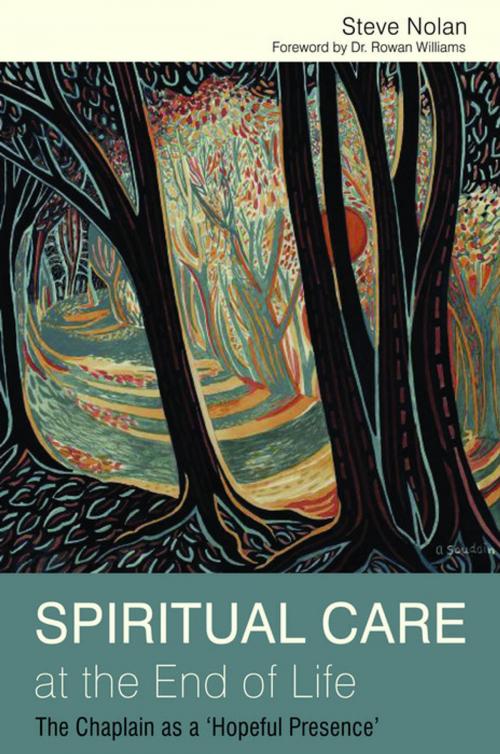 Cover of the book Spiritual Care at the End of Life by Steve Nolan, Jessica Kingsley Publishers