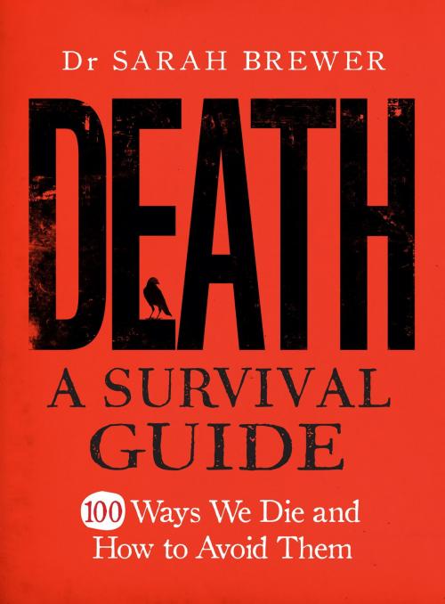 Cover of the book Death: A Survival Guide by Sarah Brewer, Quercus Publishing