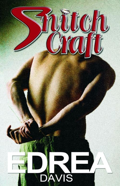 Cover of the book SnitchCraft by Edrea Davis, Edrea Davis