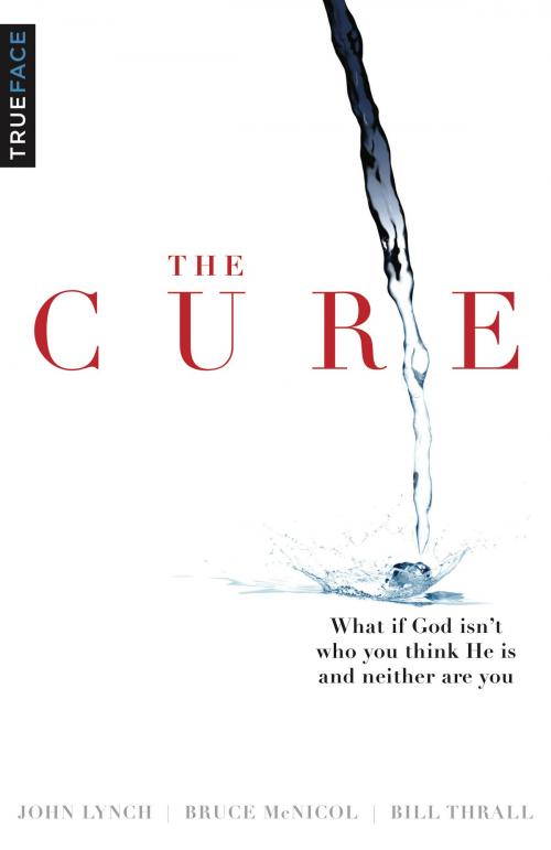 Cover of the book The Cure by John Lynch, Bruce McNicol, Bill Thrall, Cross Section Ventures, Inc.