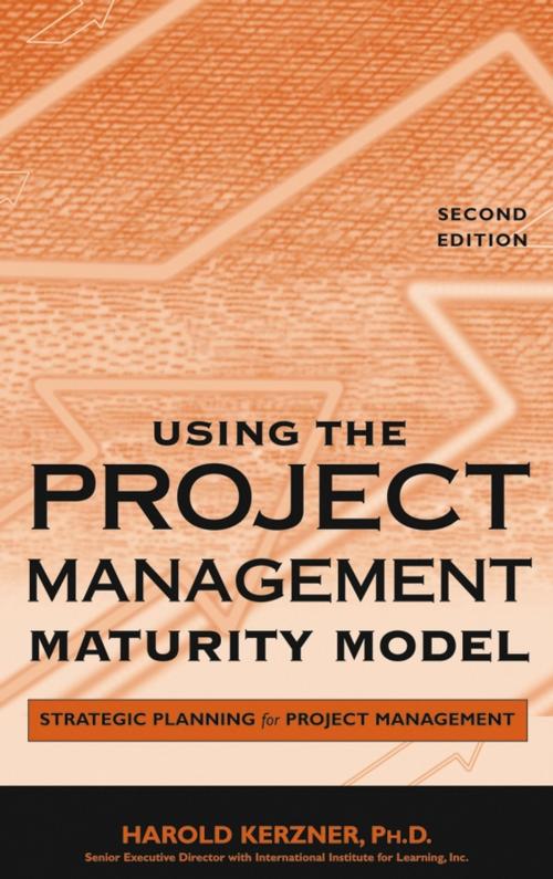 Cover of the book Using the Project Management Maturity Model by Harold Kerzner, Wiley