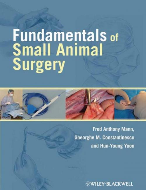 Cover of the book Fundamentals of Small Animal Surgery by , Wiley