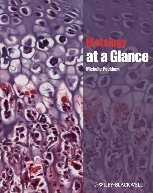 Cover of the book Histology at a Glance by Michelle Peckham, Wiley