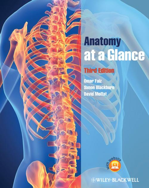 Cover of the book Anatomy at a Glance by Omar Faiz, Simon Blackburn, David Moffat, Wiley