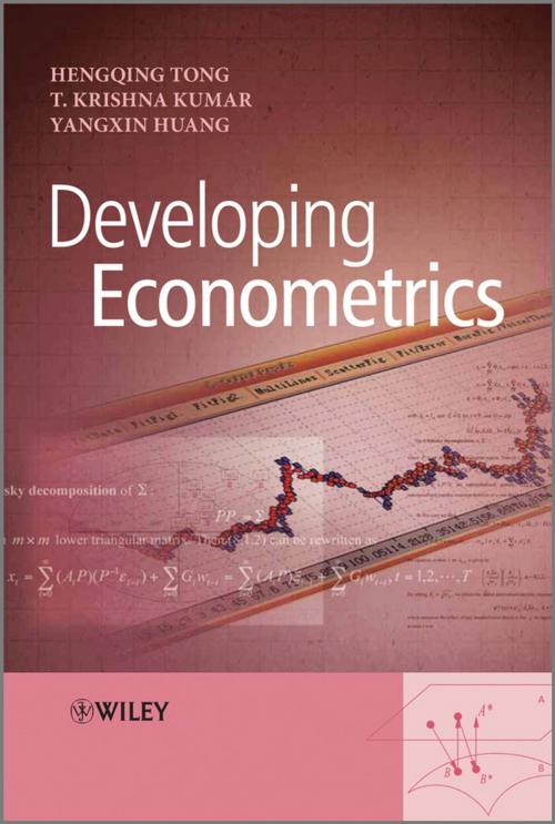 Cover of the book Developing Econometrics by Hengqing Tong, T. Krishna Kumar, Yangxin Huang, Wiley