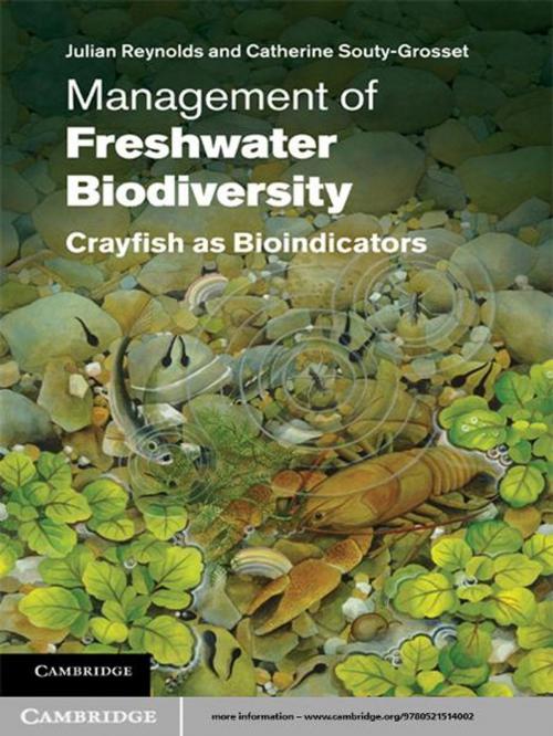 Cover of the book Management of Freshwater Biodiversity by Julian Reynolds, Catherine Souty-Grosset, Cambridge University Press