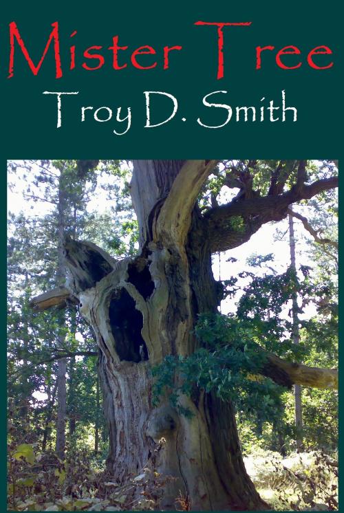 Cover of the book Mister Tree by Troy D. Smith, Cane Hollow Press