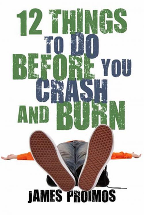 Cover of the book 12 Things to Do Before You Crash and Burn by James Proimos Jr., Roaring Brook Press