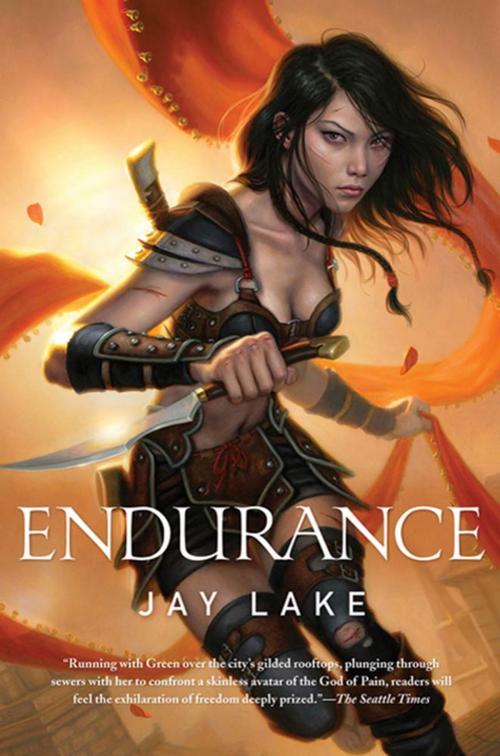 Cover of the book Endurance by Jay Lake, Tom Doherty Associates
