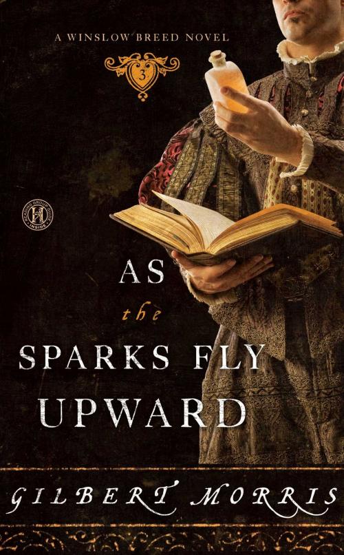 Cover of the book As the Sparks Fly Upward by Gilbert Morris, Howard Books