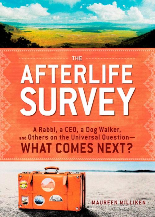 Cover of the book The Afterlife Survey by Maureen Milliken, Adams Media