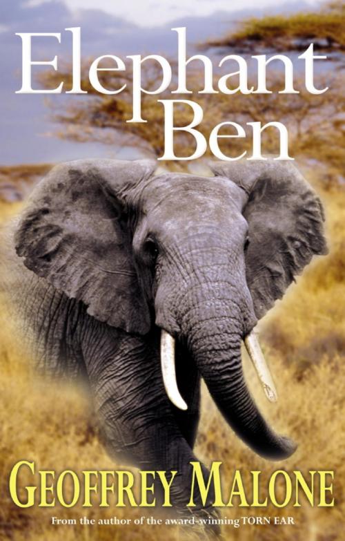 Cover of the book Stories from the Wild 5: Elephant Ben by Geoffrey Malone, Hachette Children's