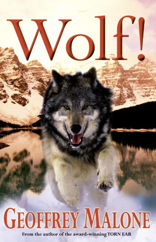 Cover of the book Stories from the Wild 6: Wolf by Geoffrey Malone, Hachette Children's