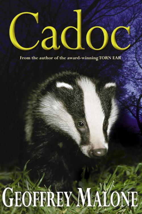 Cover of the book Stories from the Wild 7: Cadoc by Geoffrey Malone, Hachette Children's