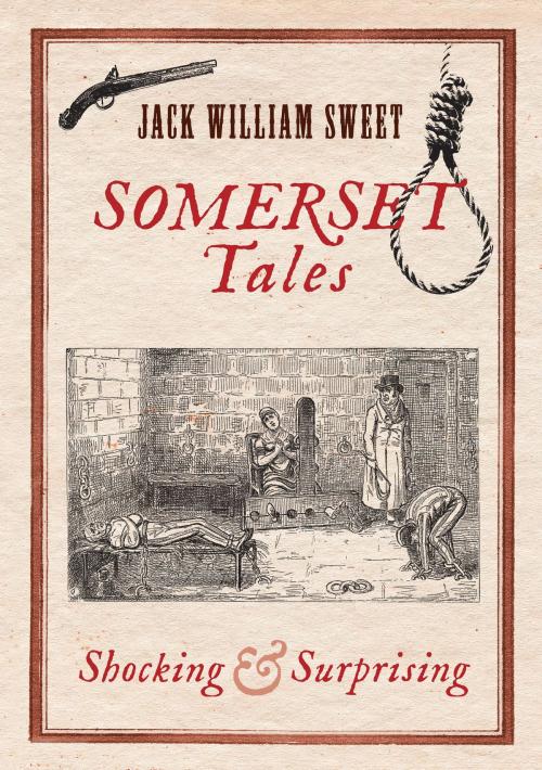 Cover of the book Somerset Tales by Jack William Sweet, Amberley Publishing