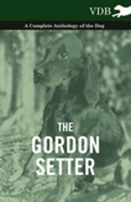 Cover of the book The Gordon Setter - A Complete Anthology of the Dog by Various, Read Books Ltd.