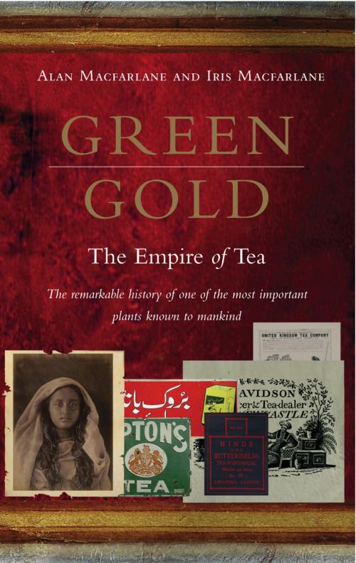 Cover of the book Green Gold by Alan Macfarlane, Iris Macfarlane, Ebury Publishing