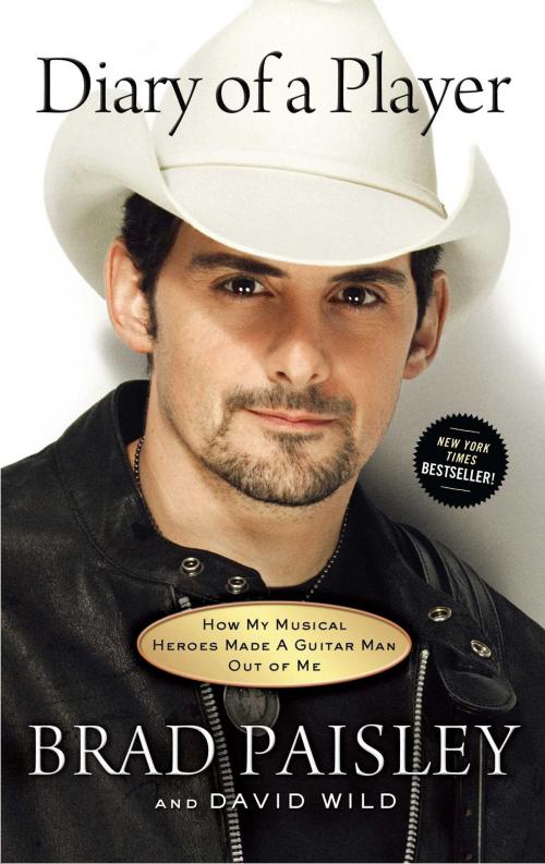 Cover of the book Diary of a Player by David Wild, Brad Paisley, Howard Books