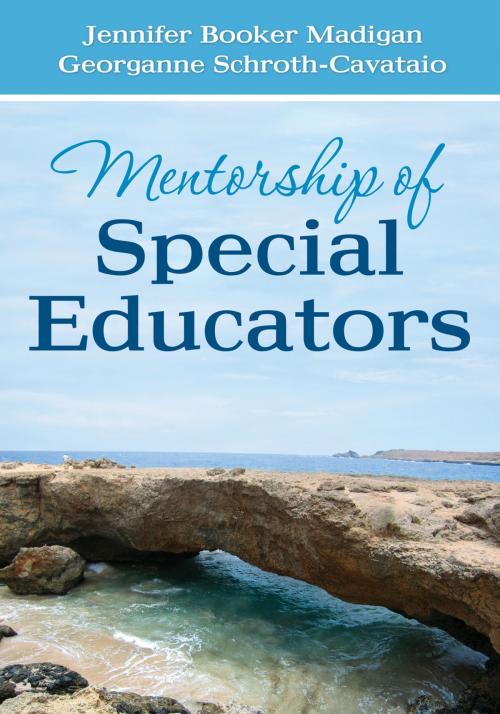 Cover of the book Mentorship of Special Educators by Georganne S. Schroth-Cavataio, Jennifer C. Booker Madigan, SAGE Publications