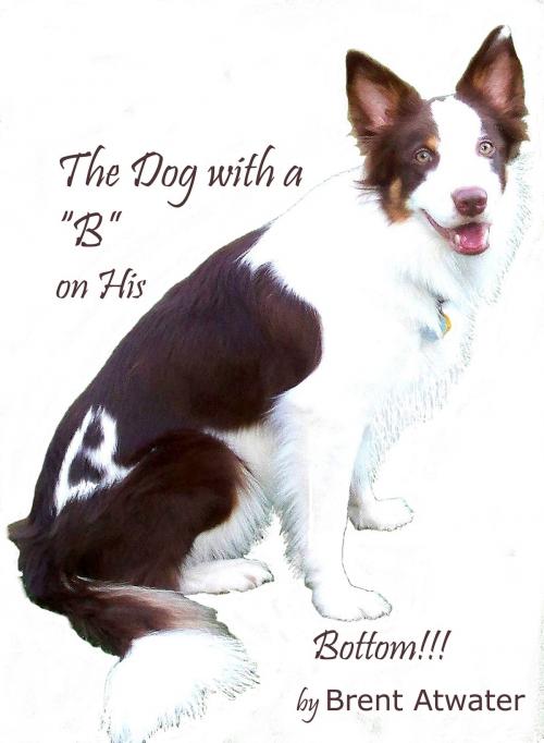 Cover of the book the Dog with a "B" on His Bottom!!! by Brent Atwater, Brent Atwater