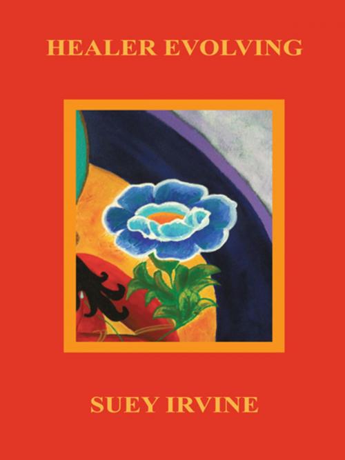 Cover of the book Healer Evolving by Irvine Irvine, Balboa Press