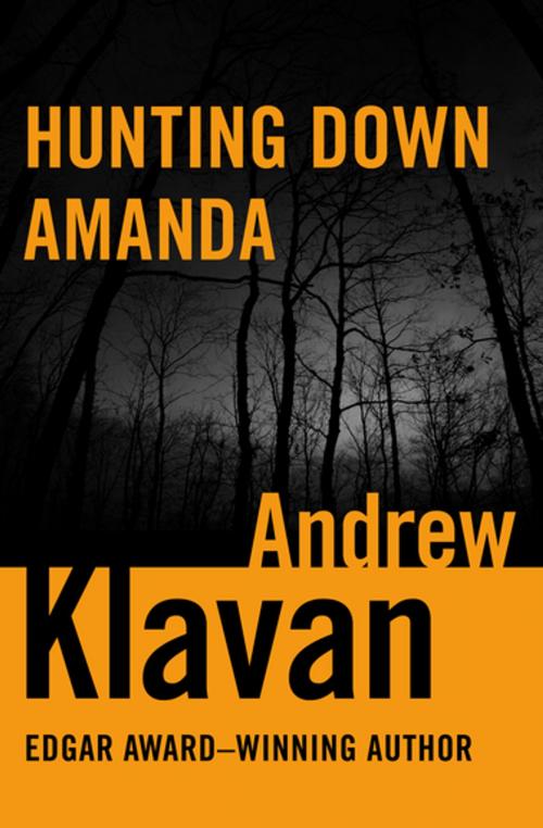 Cover of the book Hunting Down Amanda by Andrew Klavan, MysteriousPress.com/Open Road