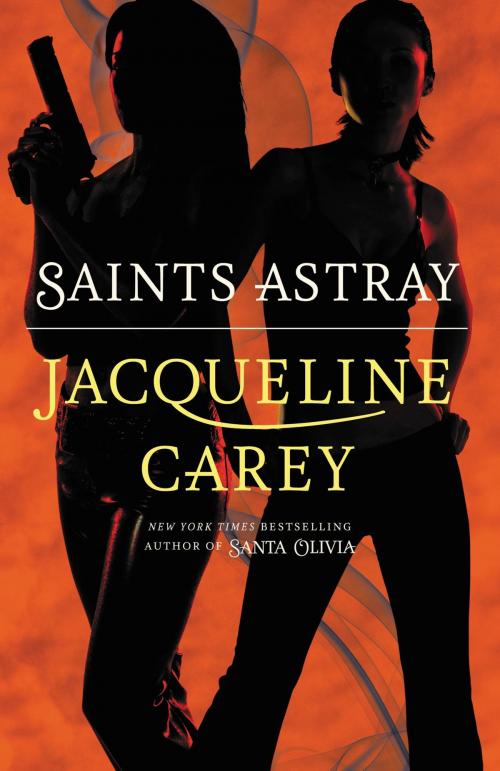 Cover of the book Saints Astray by Jacqueline Carey, Grand Central Publishing