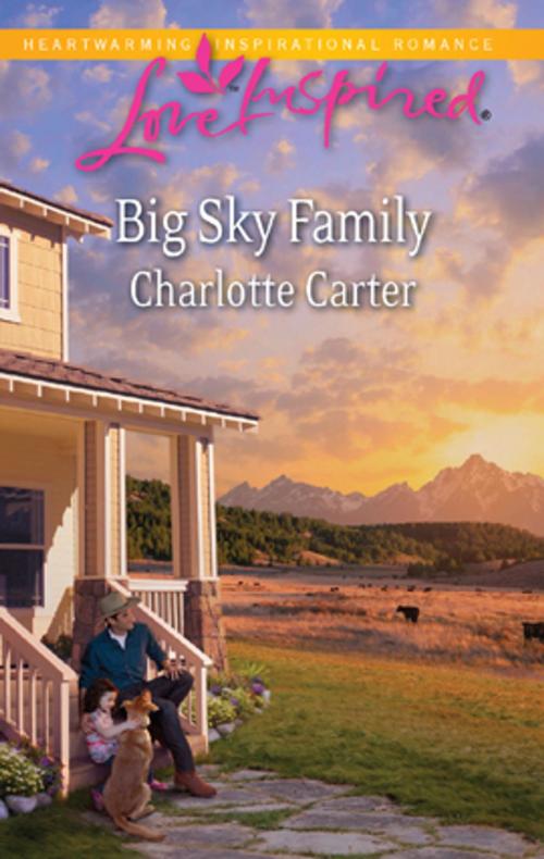 Cover of the book Big Sky Family by Charlotte Carter, Harlequin