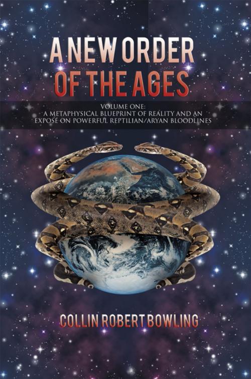 Cover of the book A New Order of the Ages by Collin Robert Bowling, iUniverse