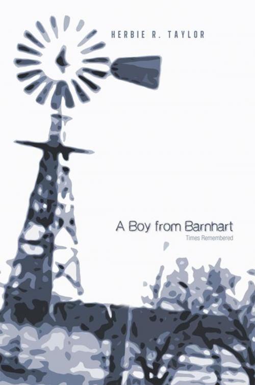 Cover of the book A Boy from Barnhart by Herbie R. Taylor, iUniverse