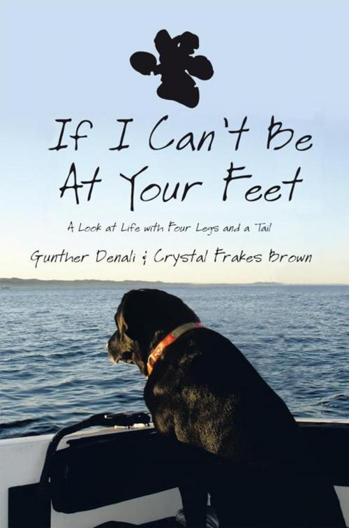 Cover of the book If I Can't Be at Your Feet by Gunther Denali, Crystal Frakes Brown, iUniverse