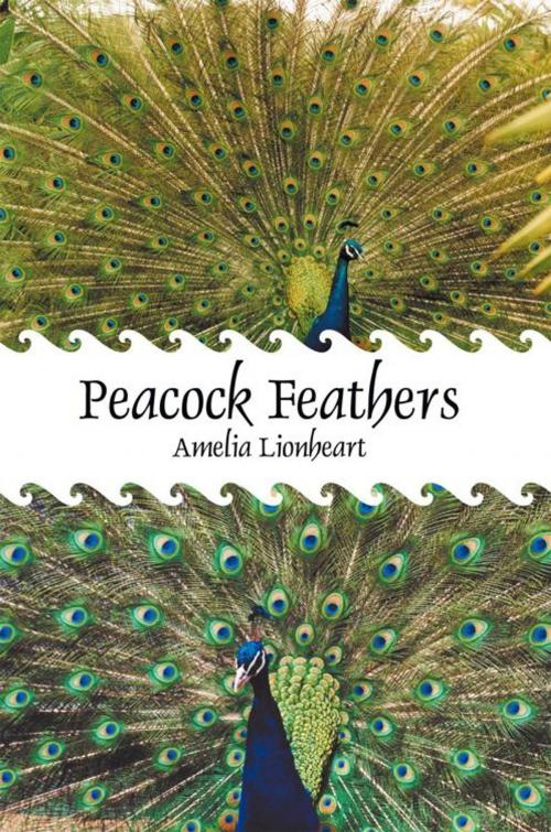 Cover of the book Peacock Feathers by Amelia Lionheart, iUniverse
