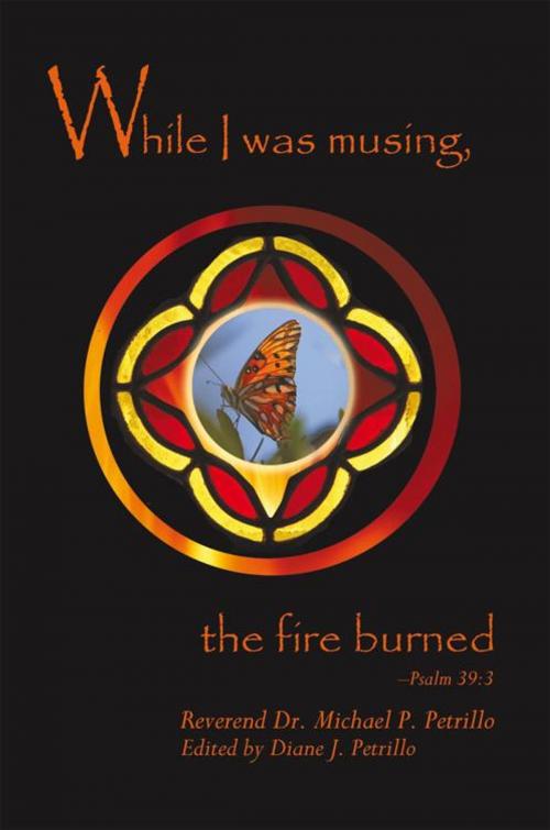 Cover of the book While I Was Musing, the Fire Burned by Michael P. Petrillo, iUniverse