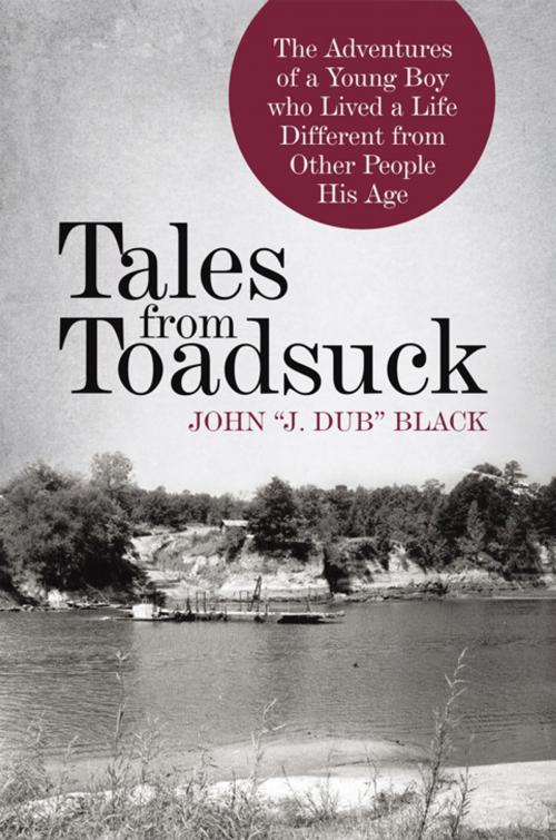 Cover of the book Tales from Toadsuck by John Black, iUniverse