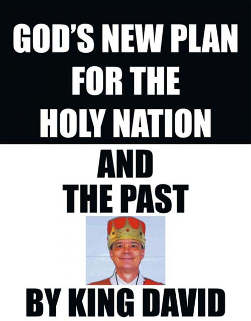 Cover of the book God's New Plan for the Holy Nation and the Past by King David, iUniverse