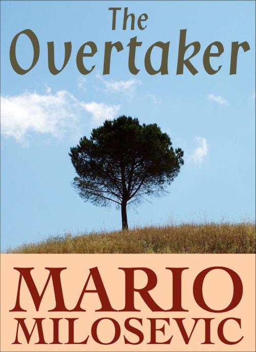 Cover of the book The Overtaker by Mario Milosevic, Green Snake Publishing