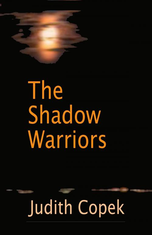 Cover of the book The Shadow Warriors by Judith Copek, Judith Copek