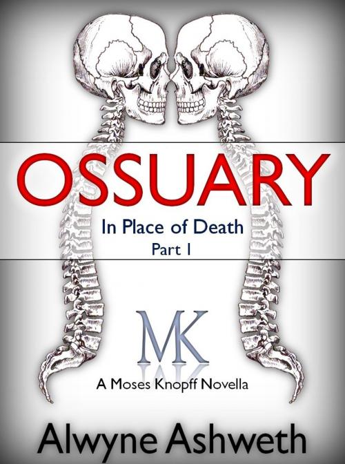 Cover of the book Ossuary by Alwyne Ashweth, Alwyne Ashweth