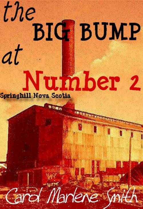 Cover of the book the BIG BUMP at Number 2 by Carol Marlene Smith, Carol Marlene Smith