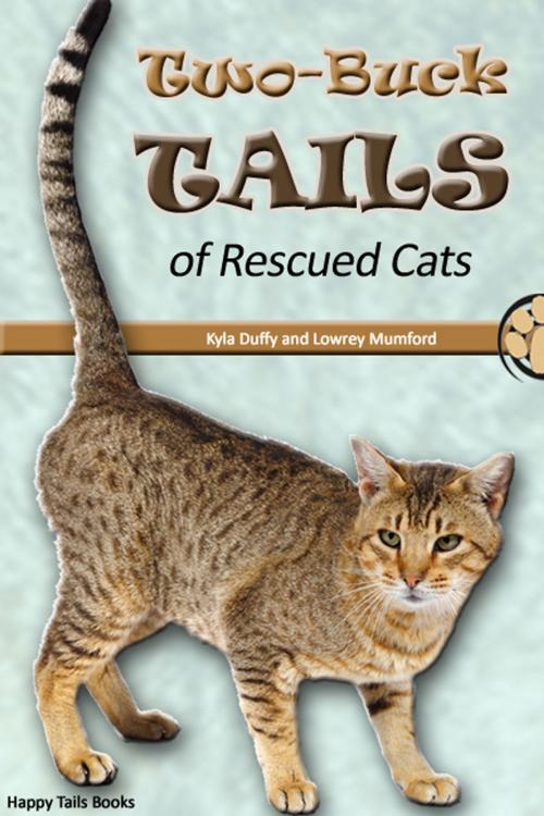 Cover of the book Two-Buck Tails of Rescued Cats by Kyla Duffy, Kyla Duffy