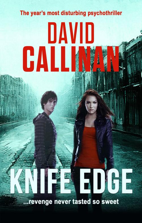 Cover of the book Knife Edge by David Callinan, David Callinan
