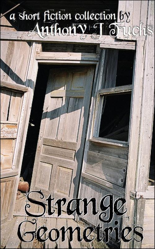 Cover of the book Strange Geometries by Anthony J Fuchs, Anthony J Fuchs