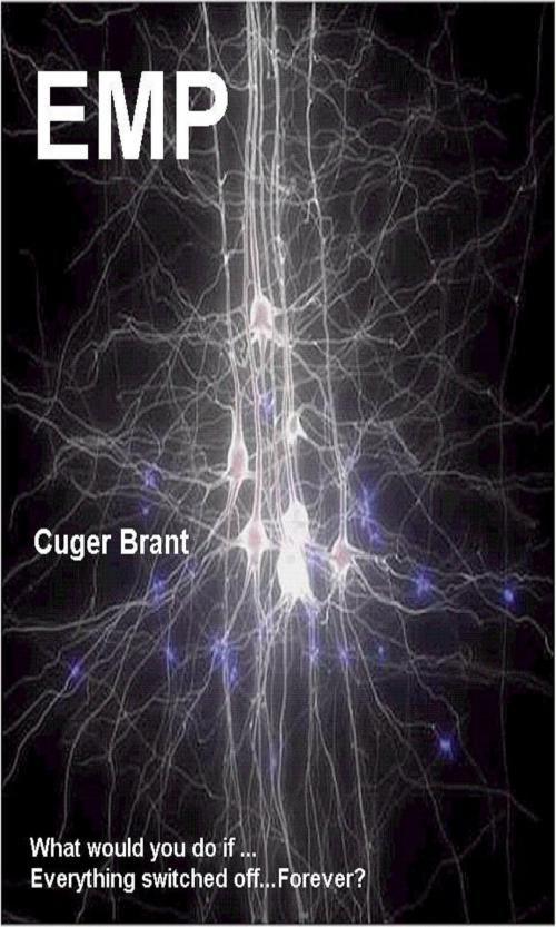 Cover of the book Electro Magnetic Pulse by Cuger Brant, Cuger Brant