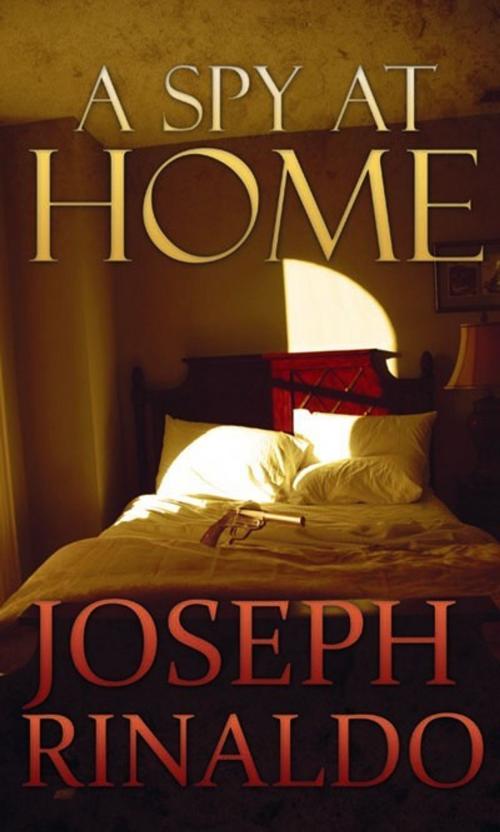 Cover of the book A Spy At Home by Joseph Rinaldo, Joseph Rinaldo