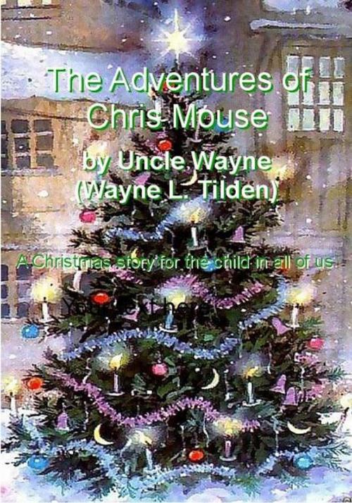 Cover of the book The Adventures of Chris Mouse by Wayne Tilden, Write On! Publishing