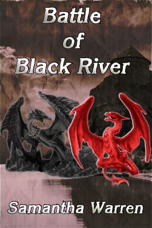 Cover of the book Battle of Black River by Samantha Warren, Samantha Warren