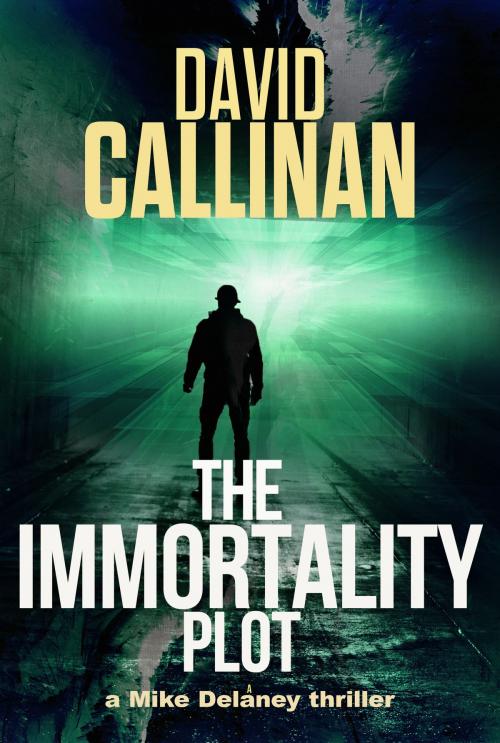 Cover of the book The Immortality Plot by David Callinan, David Callinan